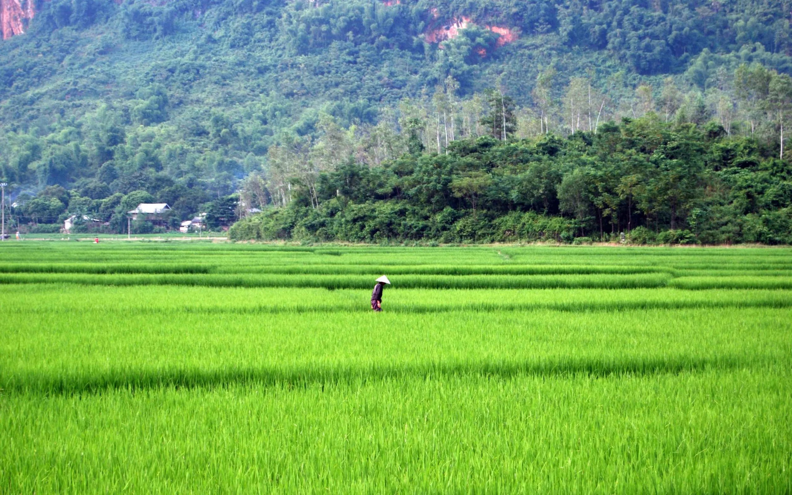 Cycling from Hanoi to Luang Prabang Tour 15 Days